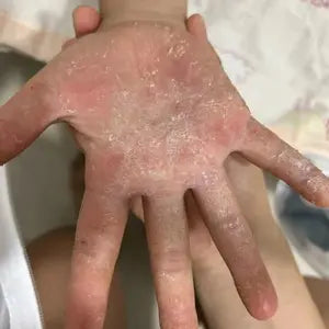 e**e c** M** review image